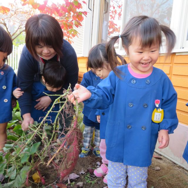 ２歳児さん・・お芋掘り💦