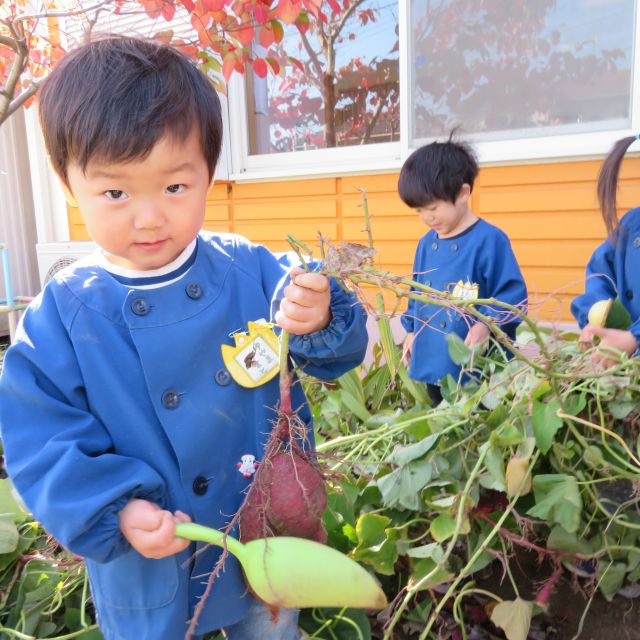 ２歳児さん・・お芋掘り💦