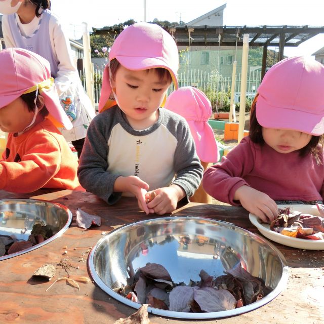 またまた・・園庭に・・遊び道具が・・・＼(^またまた