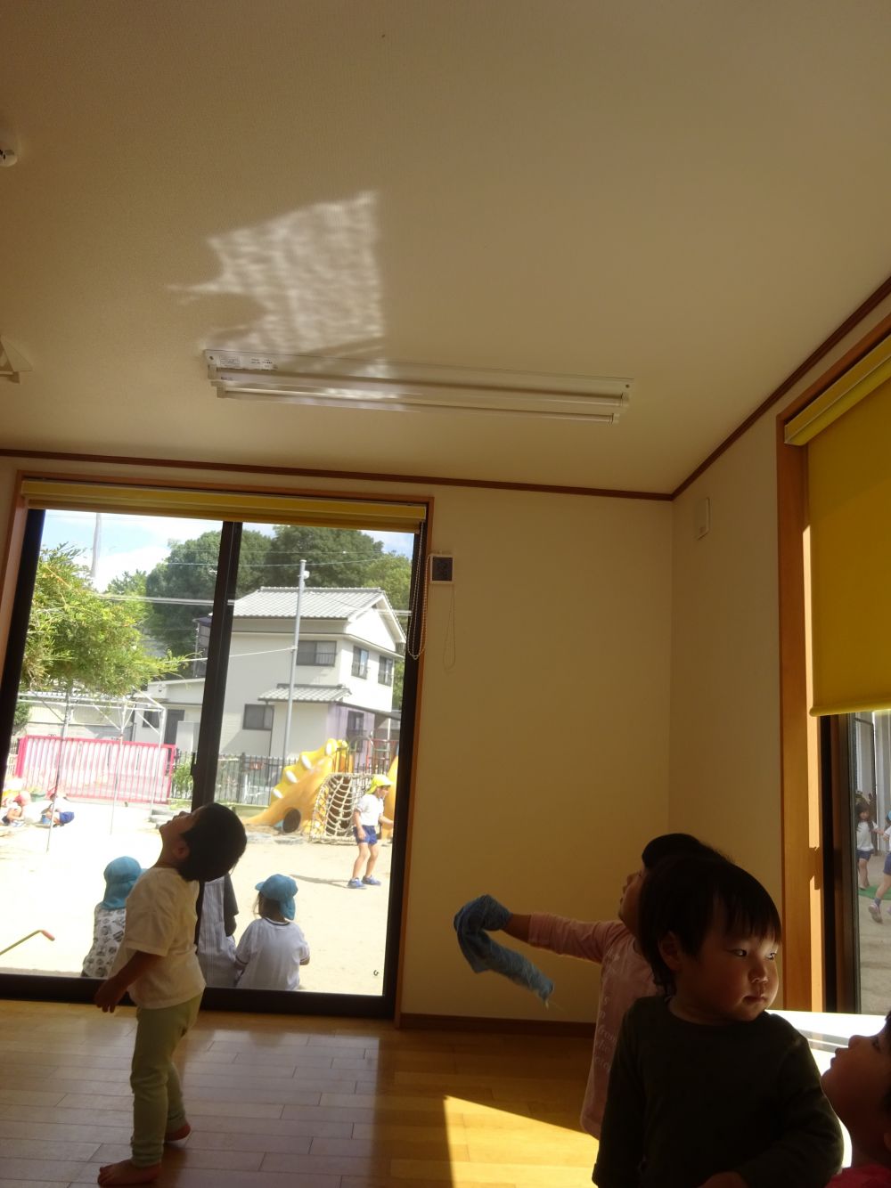 天井に写る陰を発見。
動くと陰も動き・・・