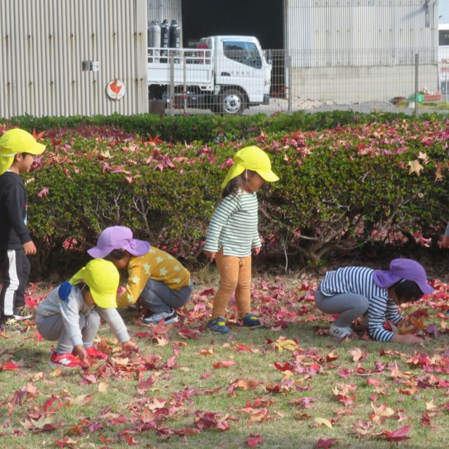 秋のお散歩