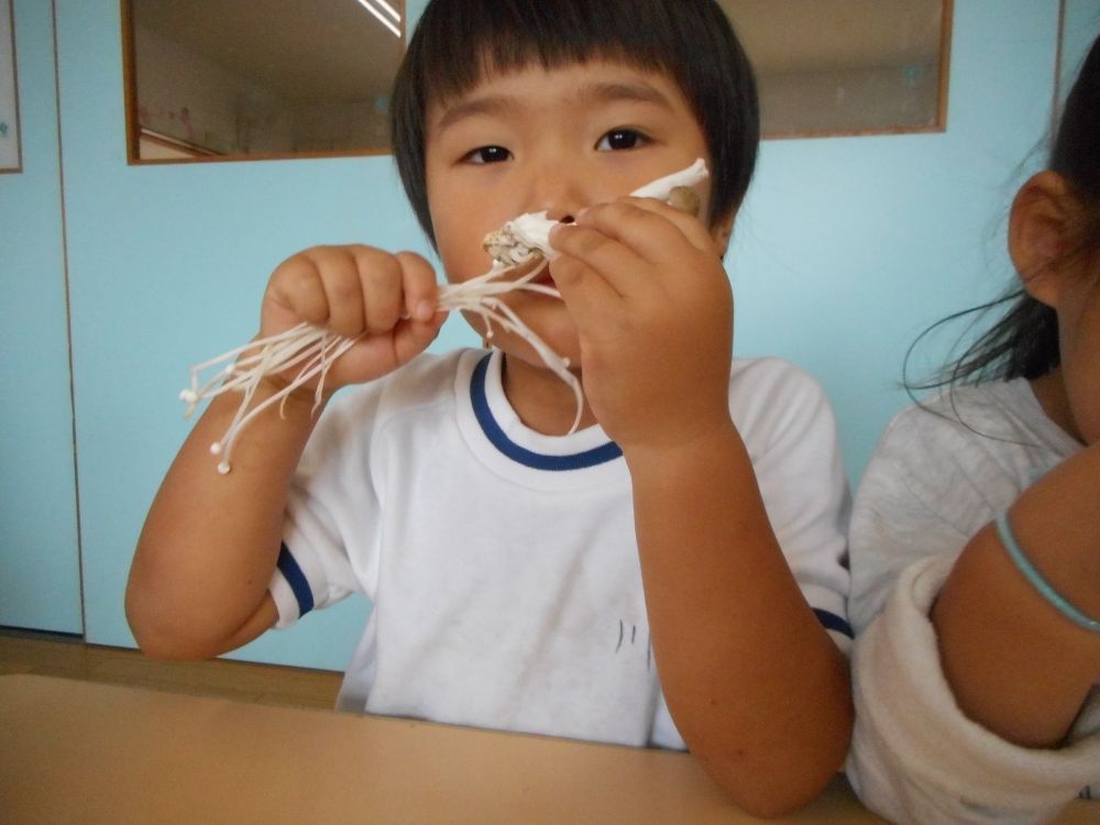 毎月１９日は【食育の日】です。
月ごとに、『子ども達と“食”にまつわる楽しいことをしよう！』をテーマに、いろいろな取り組みをしています。
１１月は秋の味覚【きのこ】を使った活動です♡
きのこにも種類がたくさんあり、それぞれに名前があることを知りました。
活動内容はクラスごとに違いますが、子ども達は旬の食材【きのこ】に思う存分触れあいましたよ♪

《３歳児》
えのき、しめじ、エリンギ・・・と色んなきのこを紹介していくと、その色や形の違いに大盛り上がり♡
「触ってみていい？」
「ちぎってみていい？」とみんな興味津々です。
えのきとしめじを手に取り、匂いを比べてみたり・・・
かさの部分だけちぎり、裏のひだひだを観察してみたり・・・
思い思いに触れあいます♡