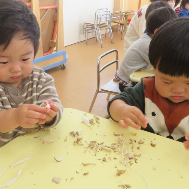 食育の会　～きのこ🍄🍄🍄