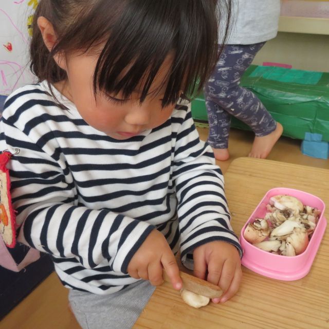 食育の会　～きのこ🍄🍄🍄🍄