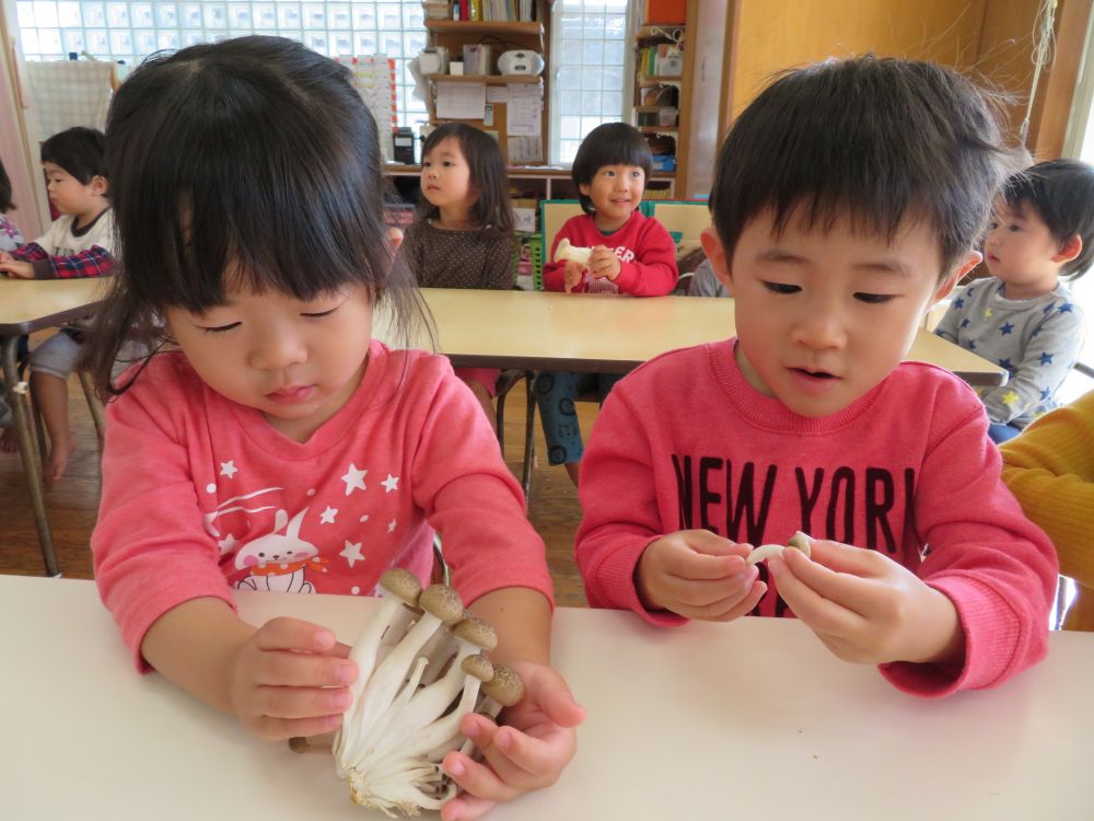 これは・・なんだった～(･∀･)？？
まずは触って・・感触を・・・🍄