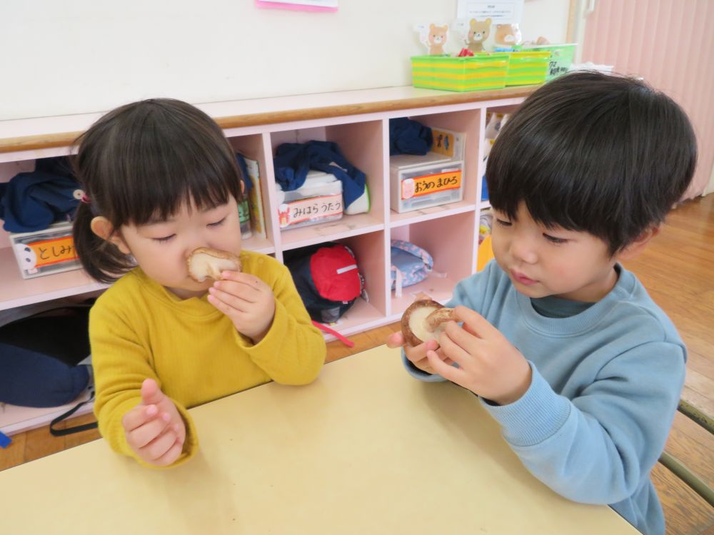 せんせ～・・・これは・・椎茸の匂いがするよ～(･∀･)/