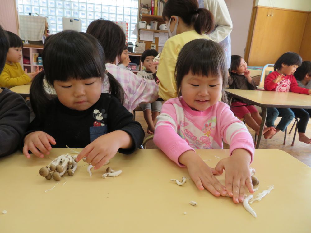 これは・・・小っちゃいキノコがいっぱいくっついてるよ～🍄
なんだった～～・・名前～～(>_