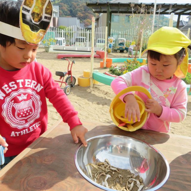 食育の日の出来事🍄