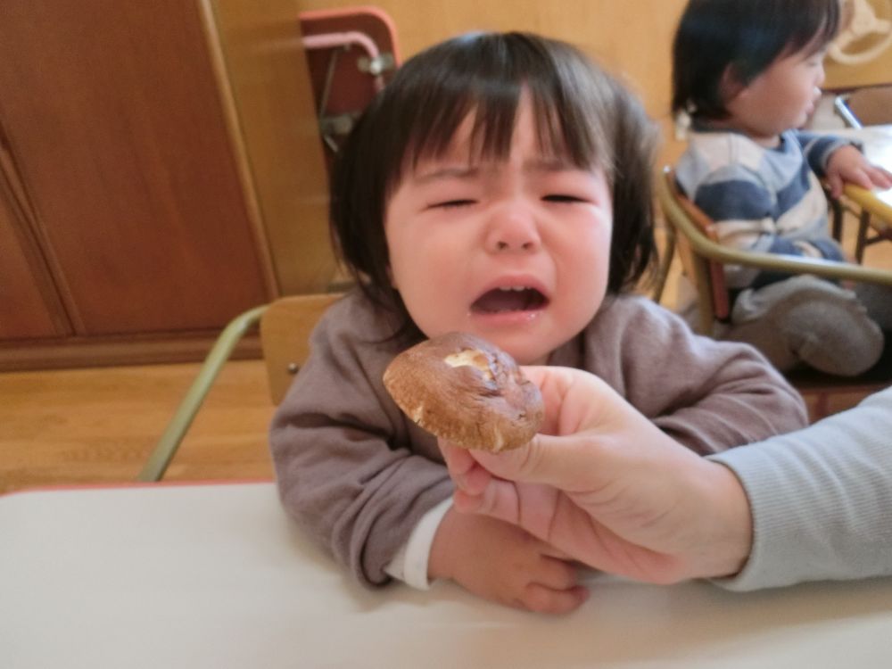 私は・・・怖いよ～～さわらな～～～😢
