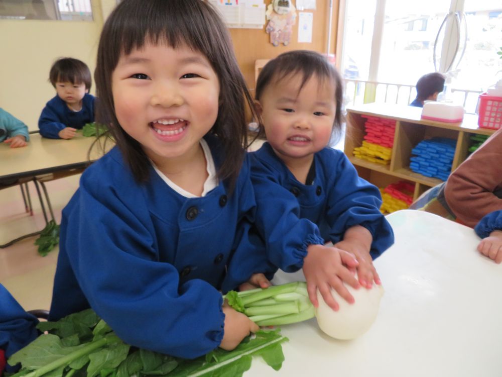 給食にかぶをを使ったメニューの日に、給食先生が葉っぱのついた状態のかぶを見せてくれました。

「これな～んだ？？」
給食先生の質問にはりきって・・・
『だいこ～～ん！』と答える子どもたち。

大根はなじみ深いお野菜。でも、かぶはあんまりみたことなかったかな～
しかも、ぱっぱつき！！

