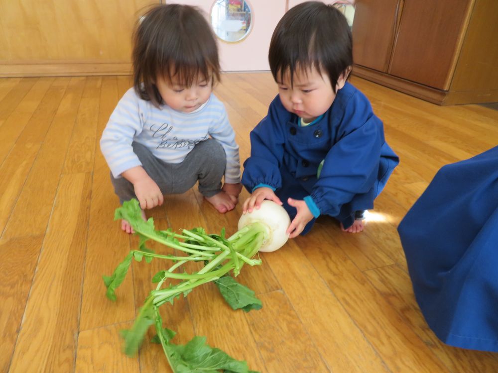 うさぎぐみさんも触ってみたよ。

「なんだこれ・・・」

ツンツンと慎重にさわる姿がかわいい♡
