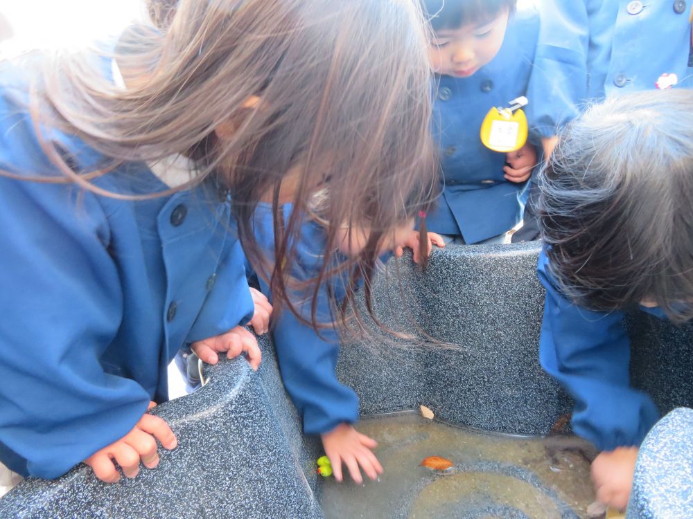 あっ！！見てみて～～ここに・・氷かも～( ^o^)ﾉ