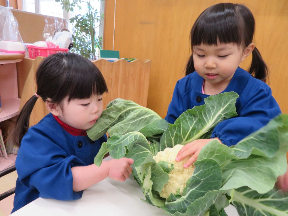 触ってみちゃお～ぅ(*^-^*)ｖ