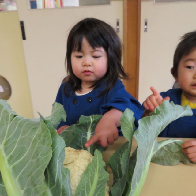 食育の日(☆｡☆)