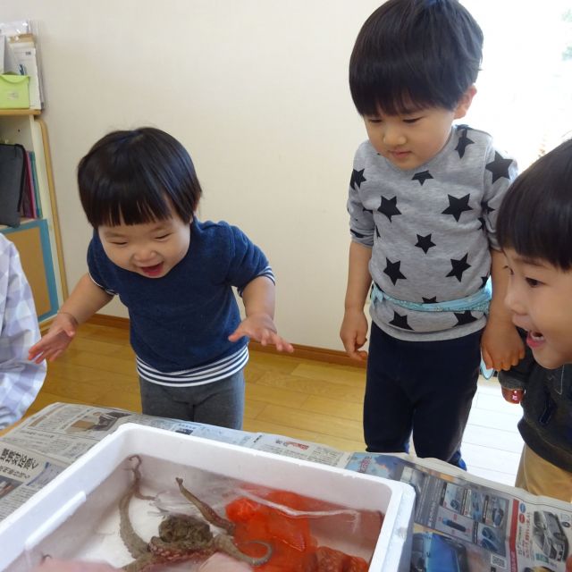 たこ　その１