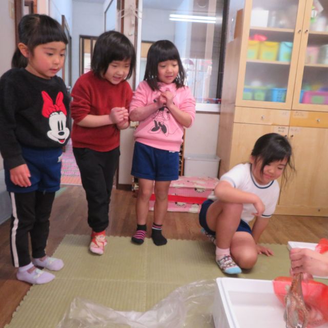 たこ　その２