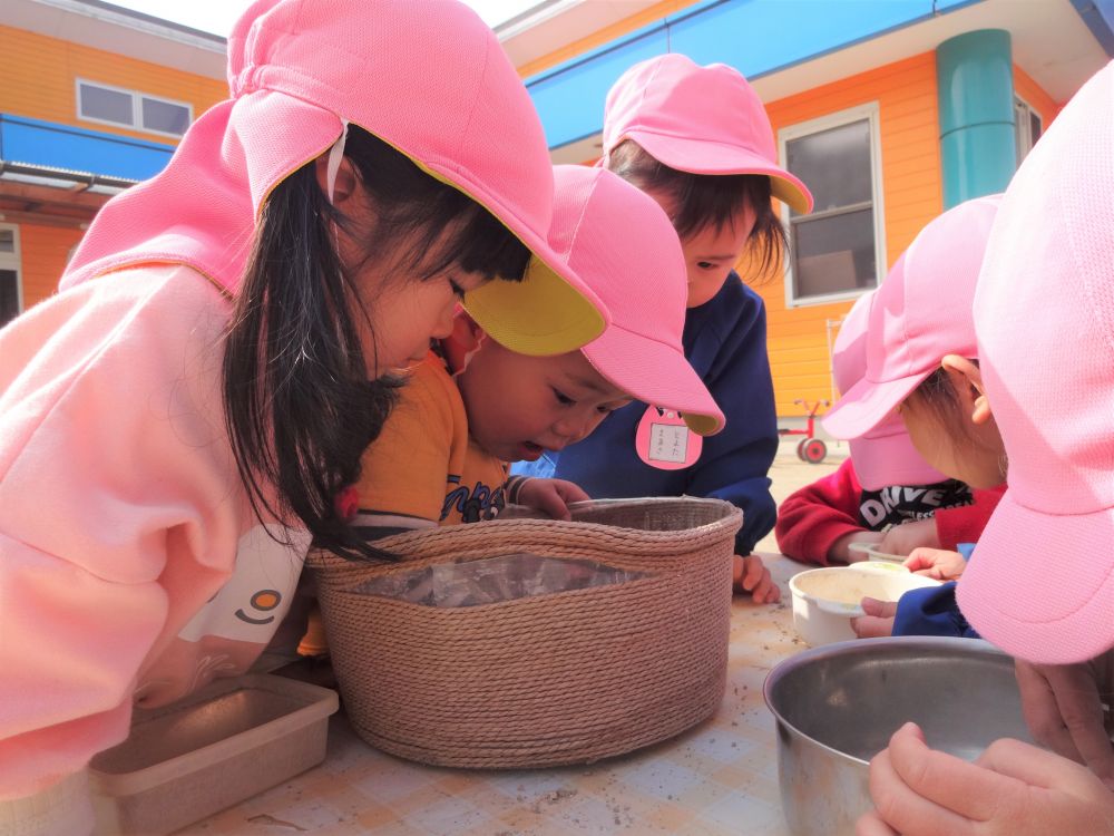 見つけて・・　ー　「入れ物がいるね～」　ー
と言うと、おもちゃ入れのかごから選んできて先生のそばに並んでいます

Kくんは何匹もダンゴ虫が入る大きな入れ物を選んでいました

ー　｢ダンゴ虫さんなにしてる？｣　ー
「ごはんたべてるね～」とＫくん
見るとかごの中には、小さな石とダンゴ虫さん…