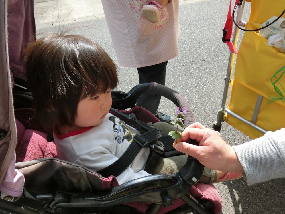 ベビーカーのＩちゃんにもお花をどうぞ♡
あれ？！うけとってくれないわ～
「う～んわたしは、お花よりこのままねむりたい・・・」って気持ちかな？