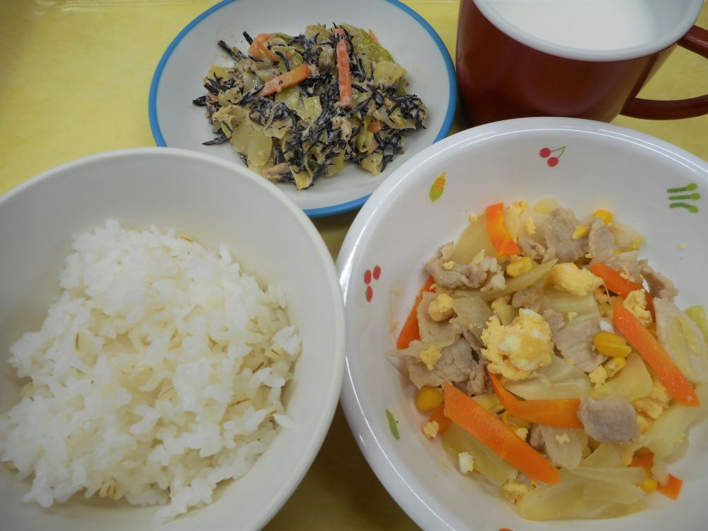 麦ご飯

豚肉ときゃべつの卵炒め

ひじきサラダ

牛乳