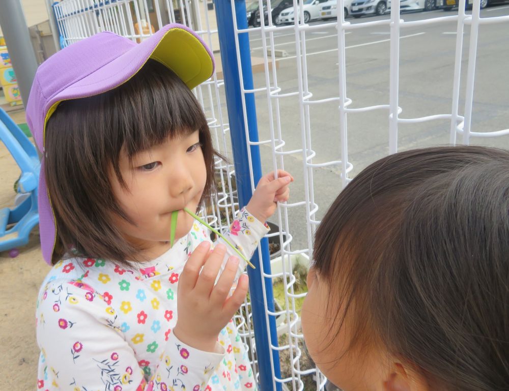 吹いてみると・・・
　ピ～～～～🎵
　　「鳴った！！鳴ったー！！」　