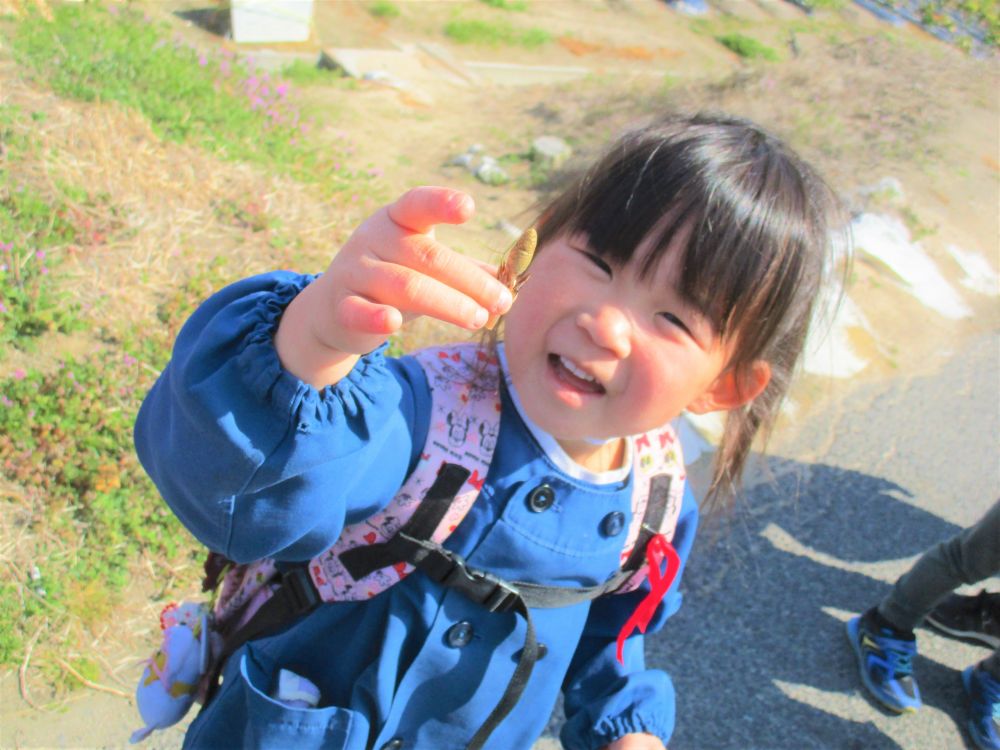 おさんぽで様々な物に出会う
植物や昆虫、初めて行く場所、新しい景色

子ども達のまわりには
わくわく、どきどきするもがいっぱいです

この時季にしかできない経験
五感で感じること　大切にしたいと思っています


高西公園に行く道中で・・・

「つくしあったよ～」

絵本で見たことあるつくしを発見！



