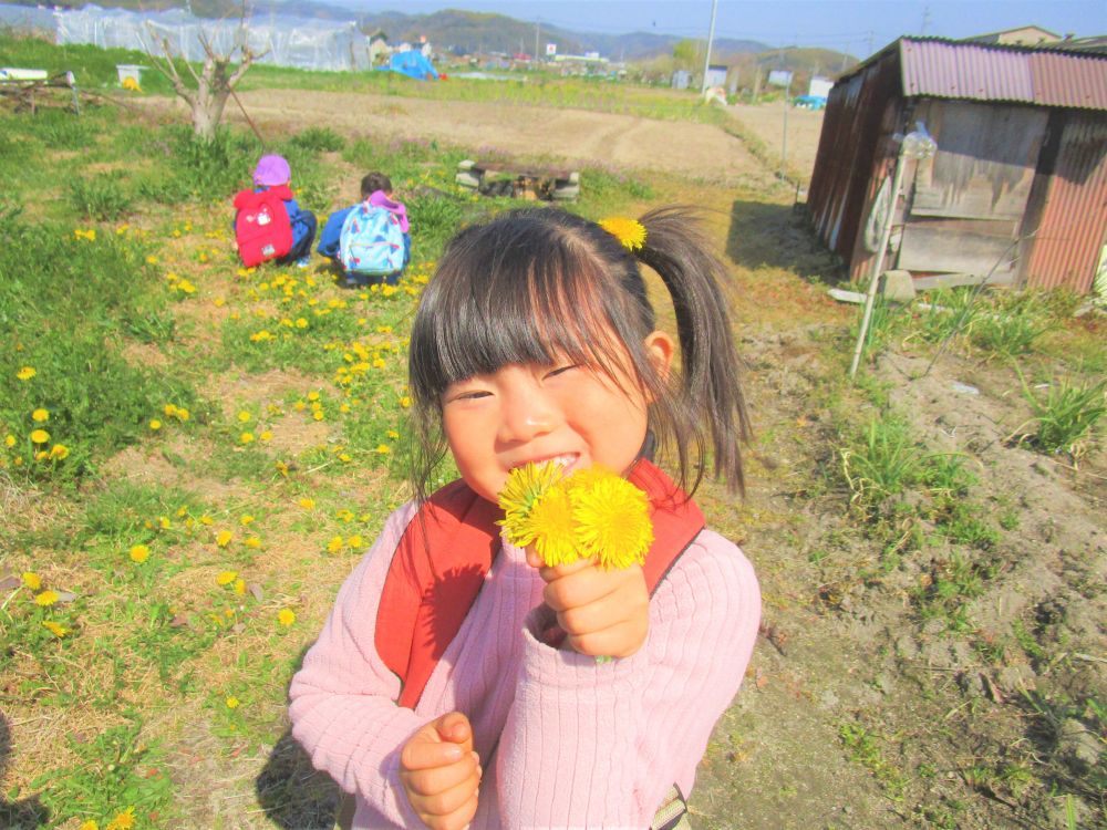 さらに歩いていくと・・・　畑を発見！

ちょっと寄り道♡

農家の方のご好意で
畑の中におじゃまさせてもらいました

畑にはみんなの大好きなたんぽぽがいっぱい♡

あっという間にたんぽぽの花束が！
髪の毛にもつけて、おしゃれさん♡

