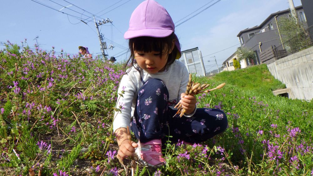 「みてーつくしいっぱいあるよー！」
「はなたばみたいじゃねー」　草花を夢中になって集めているゾウ組さん
