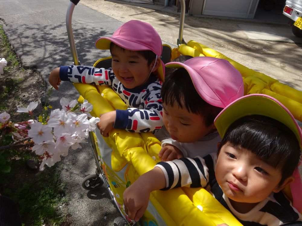 「あしたから
　しょうがくせい♪」
キリン組さんが元気いっぱい
こども園を巣立っていき・・・

桜土手の桜も