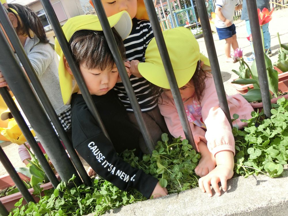 「むし！むしがおるよ！」

