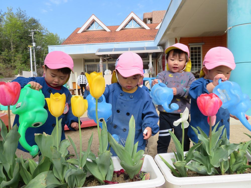 新クマぐみさん

みんながヒヨコぐみの時に植えた、チューリップ。
こんなにきれいなお花をさかせてくれたよ☺

あか・しろ・きいろ🌷
きれいね～✨
みずやりもがんばってるよ～