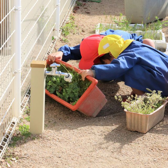 ＊　５歳児　春ですね　＊