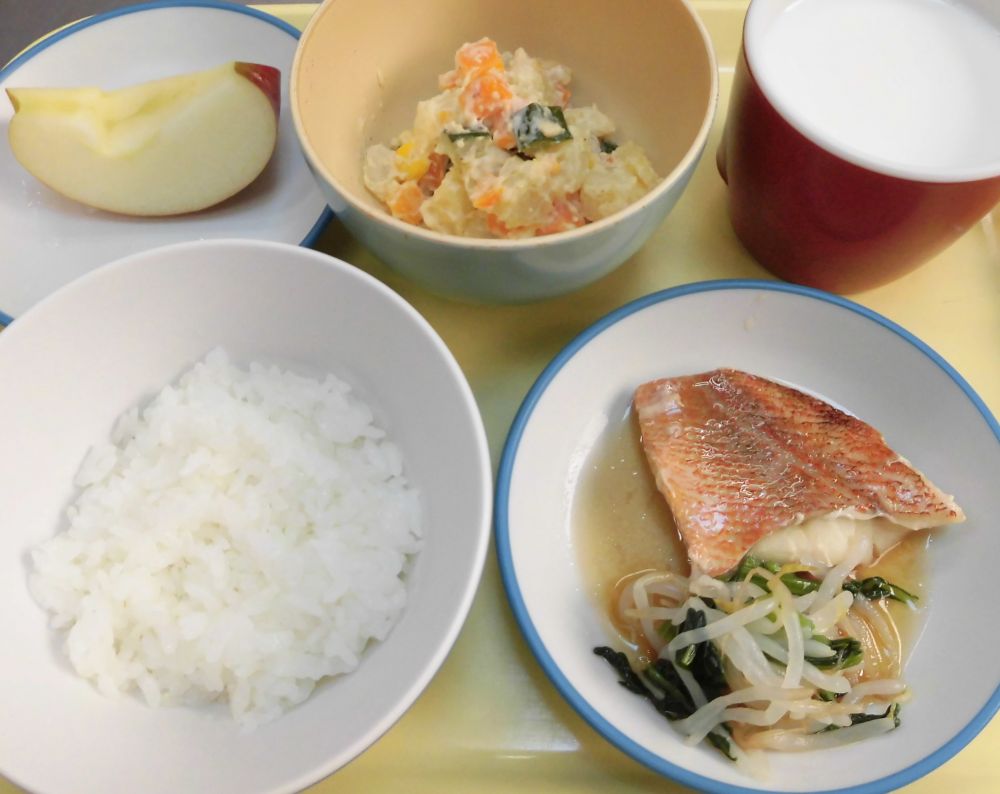 ご飯

赤魚の煮付け

ゆで野菜

じゃが大豆サラダ

りんご

牛乳