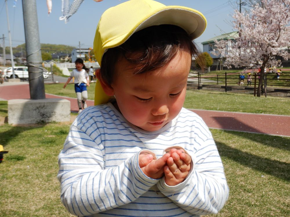 見つめる先には・・・

大好きなダンゴムシ