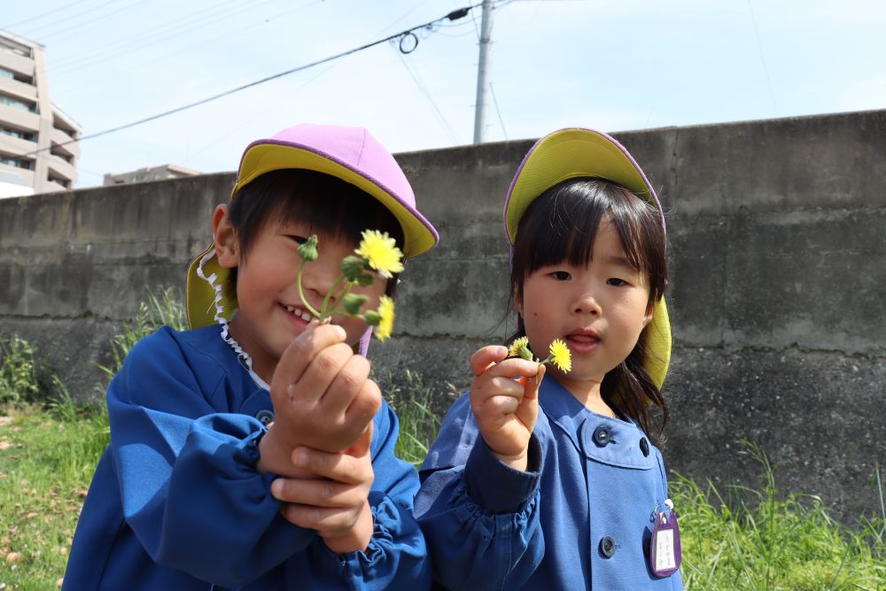 「見て見て」　大好きなタンポポを発見