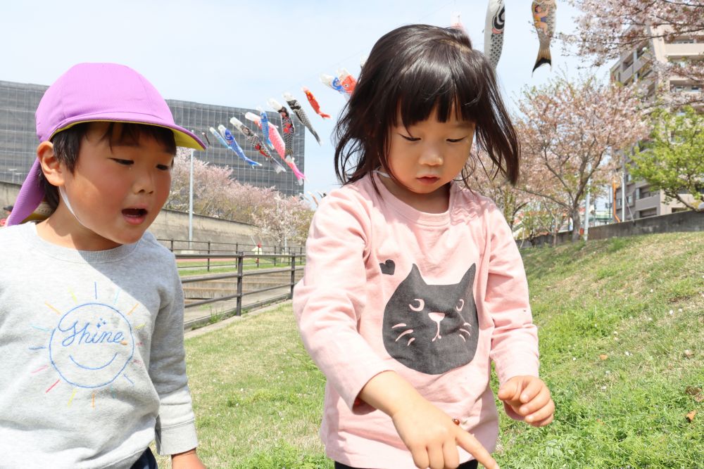 てんとう虫みつけ

草花を摘んだり、虫探しをしたり・・・
子ども自ら・・　友達と楽しい事を見つけ出しています♡