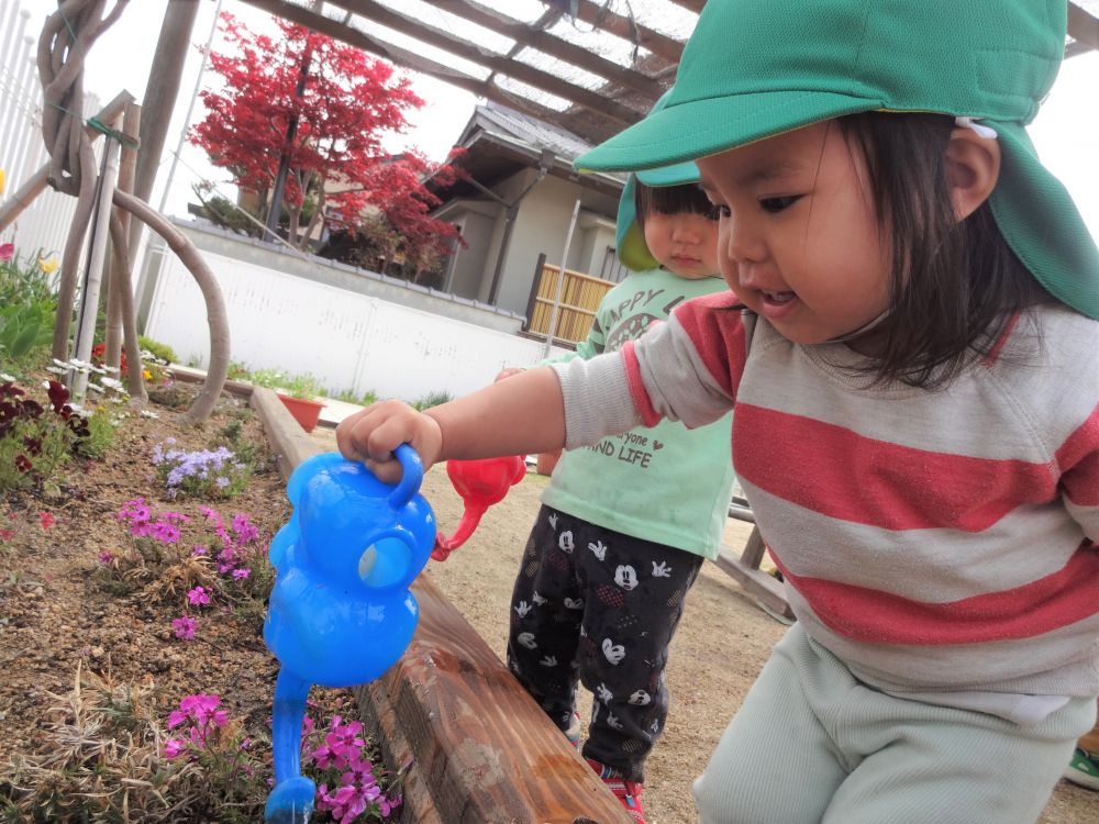 春の訪れを感じる中で、子ども達の興味が草花や虫にも向いてきました
きれいに咲いているチューリップを見ては、
♪さいた～さいた～♪と歌いだし…
「あか～きいろ～」と大きな声で指さしをして教えてくれます

それなら、じょうろを置いたらどうするだろう？と思い水と一緒に用意してみると…

じょうろに水を入れると、花の方まで行って水が出るように斜めにしてあげていました
