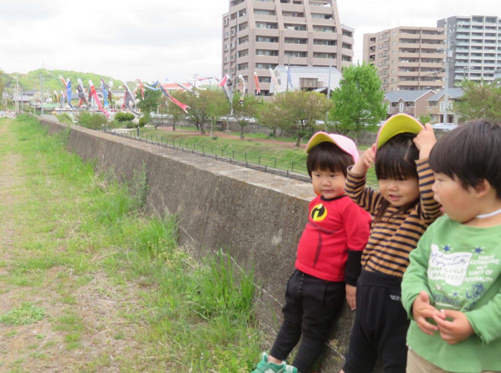 こいのぼり、いっぱい並んでるね～🎏
　　ぼくたちも並んでみよう😊