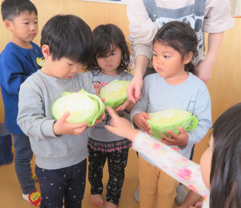 今日は今年度初めての食育の日でした。
テーマは「春野菜に触れよう！」ということで、春キャベツとキャベツ、たけのこを用意しました。

まずは春キャベツ。
春キャベツとキャベツの違いについてみんなで考えます。
