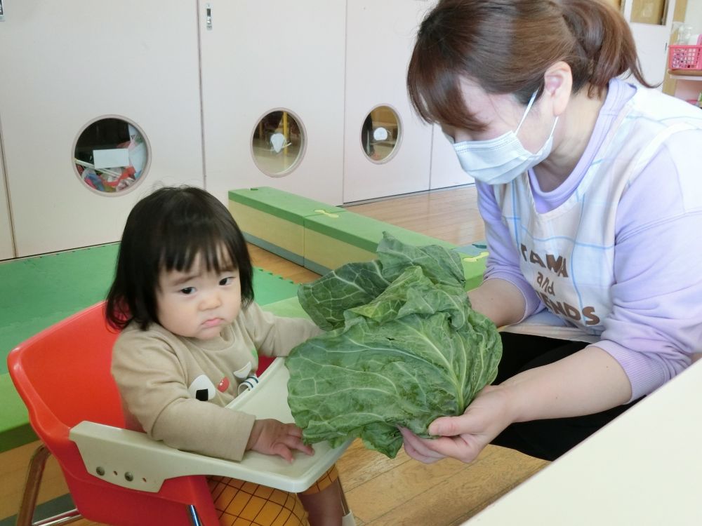 クマぐみと一緒に参加していた、うさぎぐみのＹちゃん。

給食先生が近くにもってきてくれたけど・・・

「これはなに？」・・・と不思議そう。