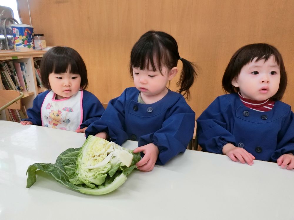 さわっていい？
不思議そうにしながら恐る恐る・・・

直に食材にふれたり、においをかいだりする機会って意外に少ないかもしれません。
食育の日を通して、そんな経験することで自分が食べているものに興味を持てるようにしたいと思います。