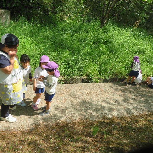 おべんとうの日　PartⅡ　＊4・5歳児＊