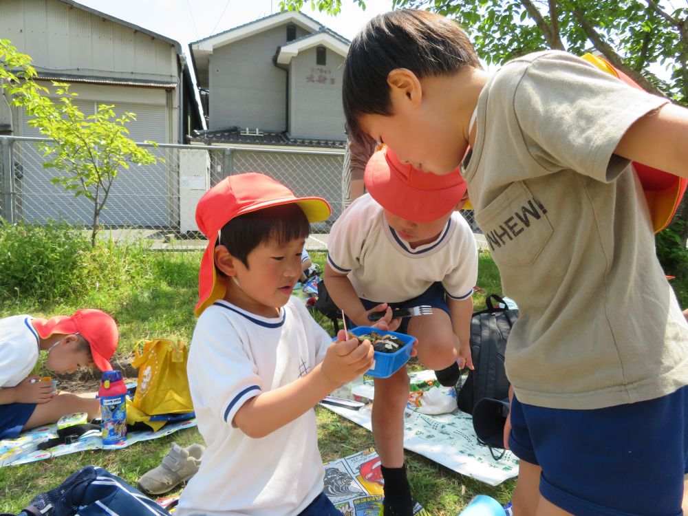 “　友達のお弁当は何が入ってる？　”
これも　楽しさの１つ♡