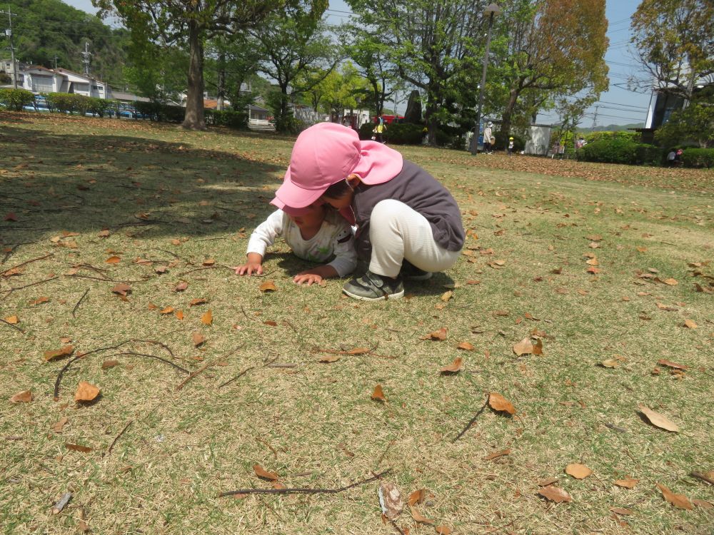 クマ組のおともだち
広い公園で走っていたら転んじゃった💦
　「だいじょうぶ？」