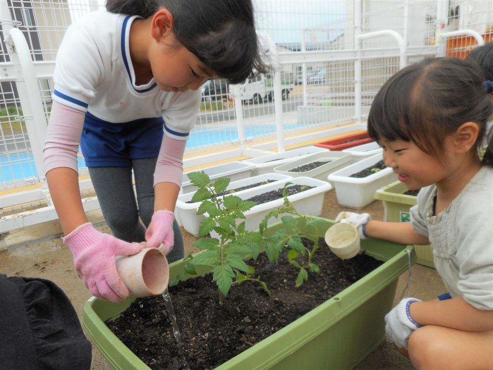 苗を入れたら水やりが大切！と知っている子ども達。
植えたらすぐに、じょうろに水を入れてくれます。
でも、じょうろは数に限りがあって・・・
順番に使うのかな、と見ていたら・・・園庭にある色んな道具を見つけては、水を入れて持ってきていました！
コップ、ペットボトル、やかん、ｅｔｃ・・・
これがなかったら、これが使える、と子ども達の柔軟な考えに感心♡