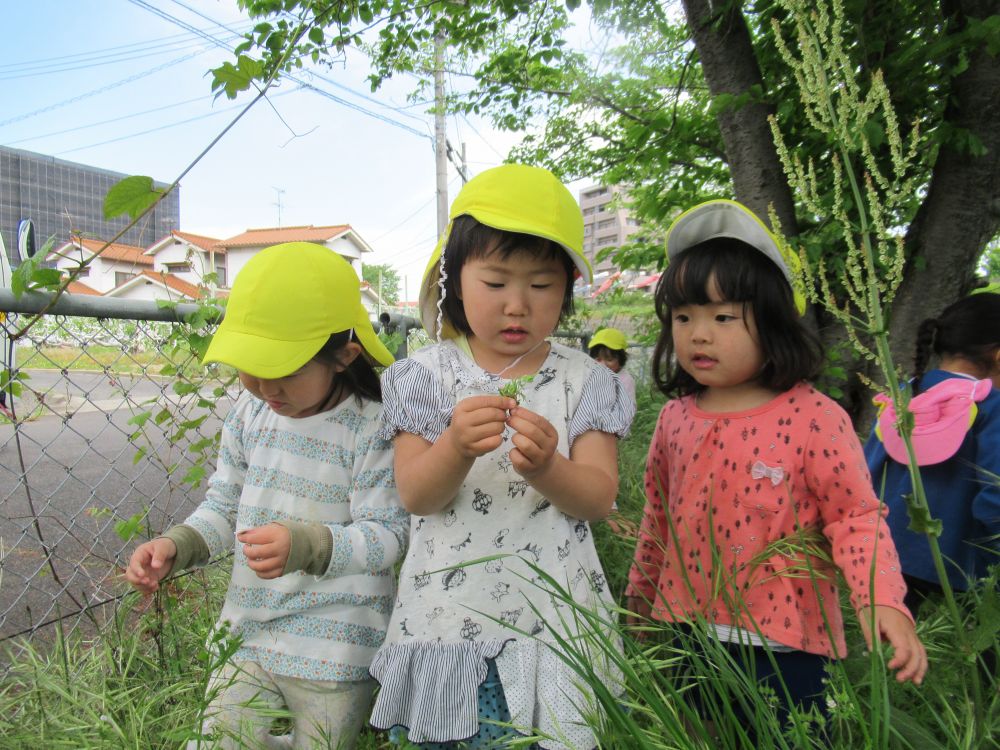 地面いっぱいに広がる芝生には、草花がいっぱい！！
デコボコとした土は、坂道みたいで子どもたちにとって魅力的・・・
そんなシニアカフェのある広場にお散歩です♡



子どもたちは見て・・触って・・　体全体で　”春”　という季節を感じています

着いてさっそく、　「花みーつけた」　「なんの花だろう？」　と観察中・・・

