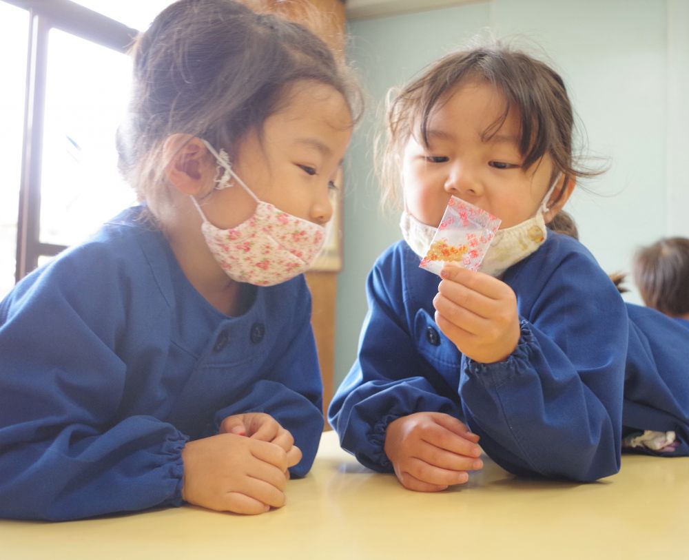 昨年からチャレンジしている【バケツ稲づくり】4歳児さん、今年も挑戦します！！

みんなにお米を作ってみる？と聞くと
｢作りたーい！｣
元気よく返事が返ってきました。でもどうやって作るのかな・・・

まず【種もみ】をみんなで触ってみました。
｢ちいさいね～もうお米みたいじゃん｣
｢固いし色は白くないね｣

さあ、これからの作業の説明です。