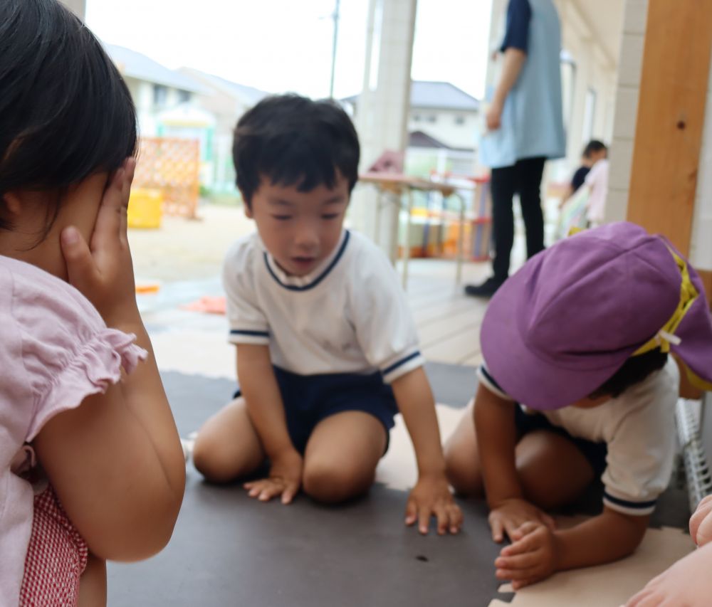 休み明けの朝‥　雨があがり‥



小さな虫が遊びに来ました
ゾウ組の虫好きな子ども達は大興奮