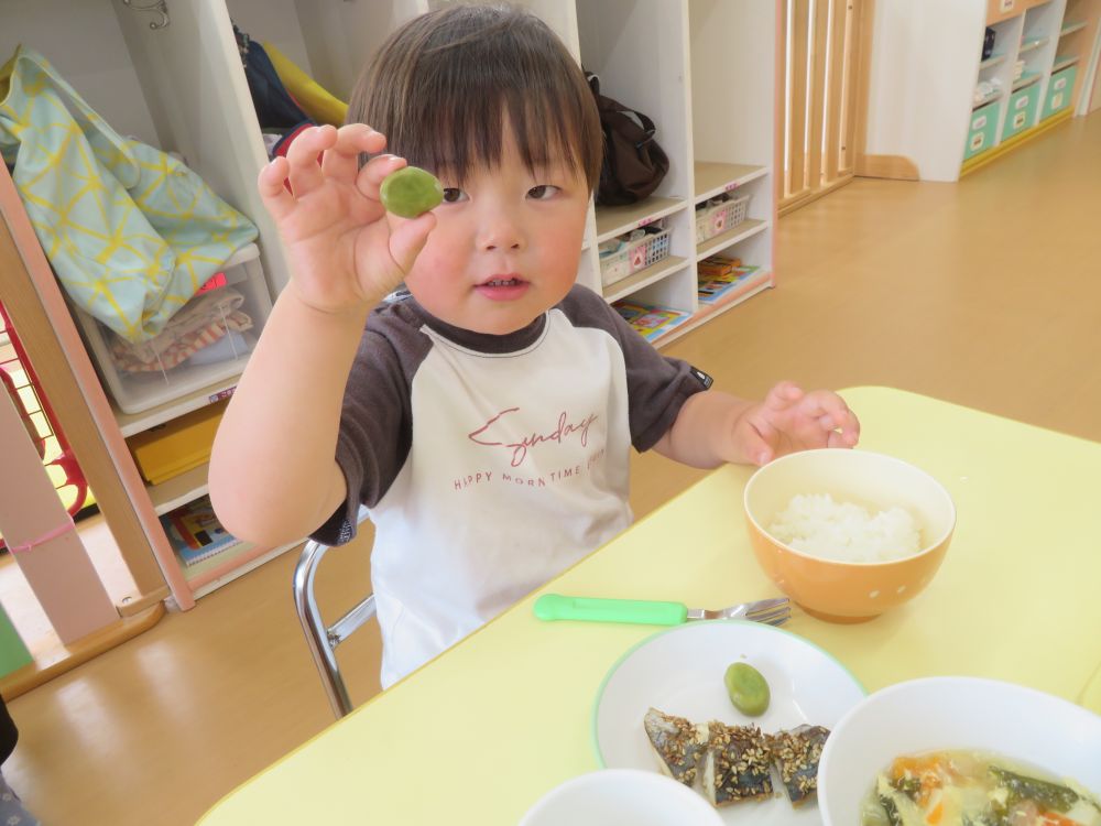 そら豆は今日の給食で食べました♪
「あ！これさっきのそら豆！」とそら豆をつかんで見せてくれました。
食育活動を通して、食材に興味を持ち、野菜を好きになってくれたらいいなと思います。

明日はグリンピースをおやつで食べようね♡
