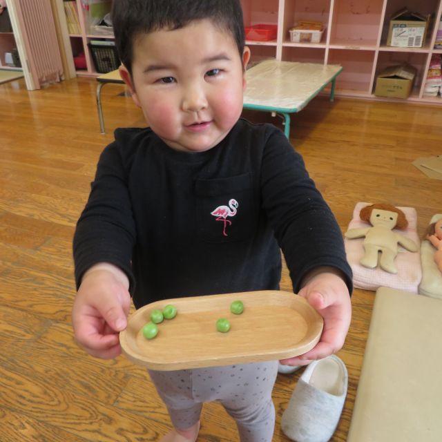 食育活動②～そら豆とグリンピース～＊クマ組　２歳児＊