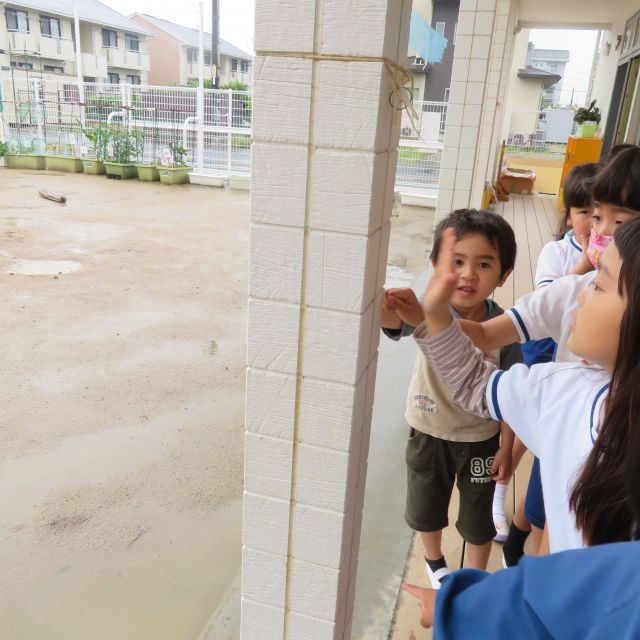 ＊　5歳児　危ない場所を探せ　＊